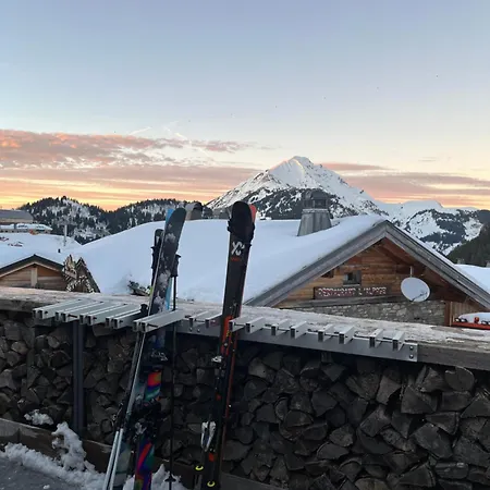 Maison Du Bucheron Chalet *