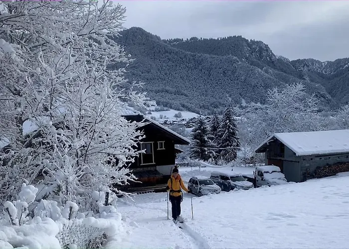 Dağ evi Maison Du Bucheron *